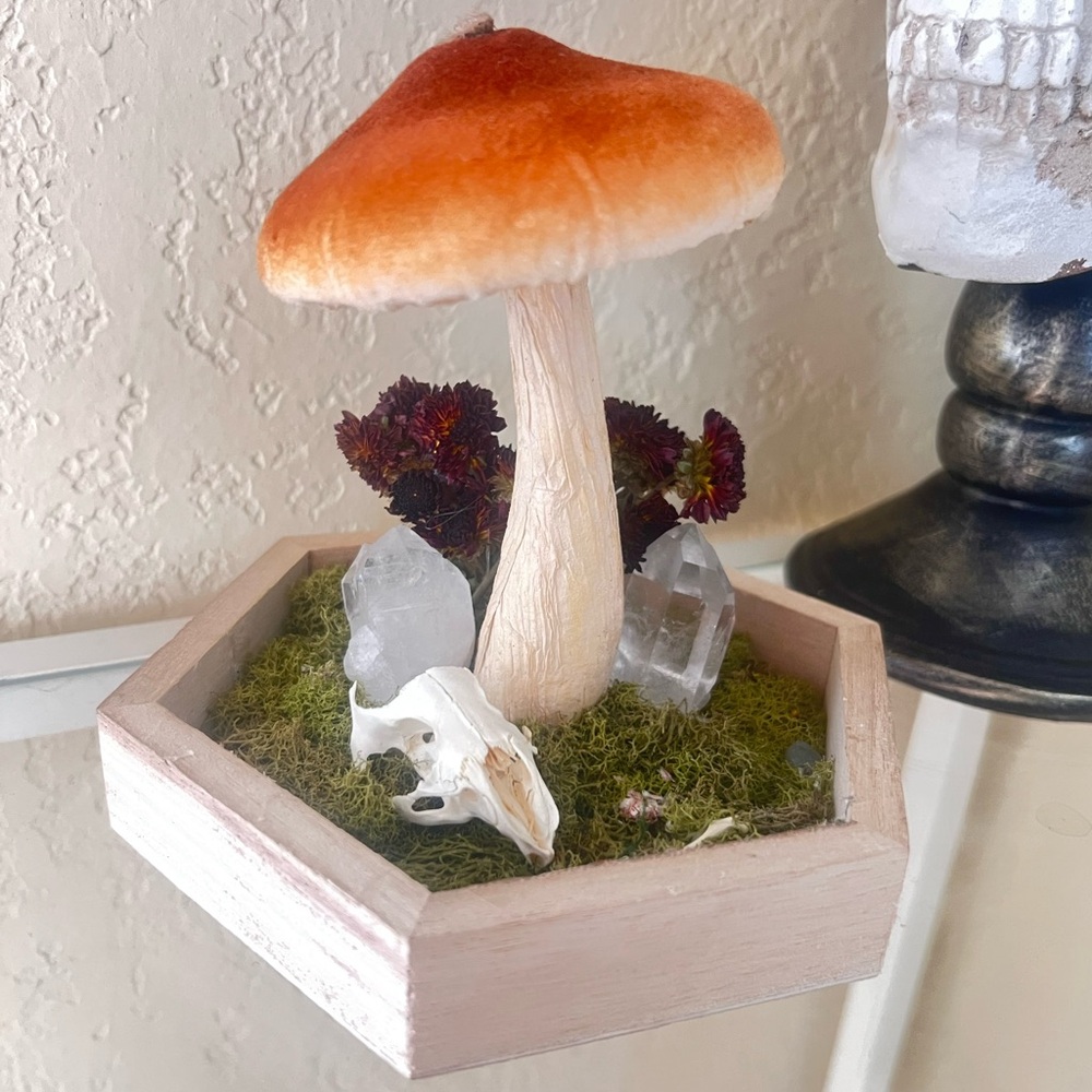 Decorative Mushroom Terrarium with Crystals
